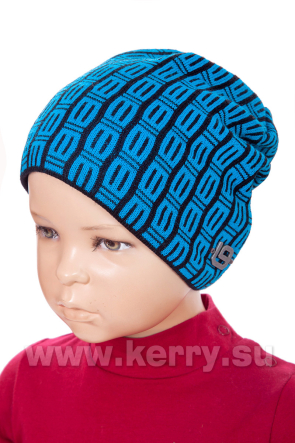 K14495/637 Шапка для мальчиков STAN
