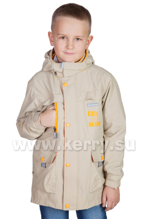 Куртка Керри для мальчиков ROBIN K16033/364