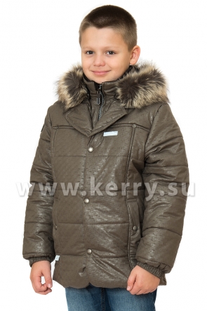 Куртка Керри для мальчиков GENTH K16439A/801
