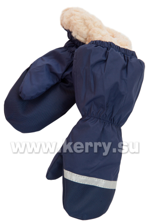 Рукавицы для мальчиков и девочек KERRY SNOW K19175/229