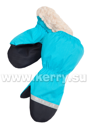 Рукавицы для мальчиков KERRY SNOW K19175/635