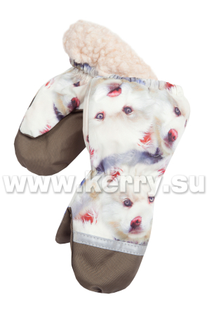 Рукавицы для мальчиков и девочек KERRY SNOW K19175/5060