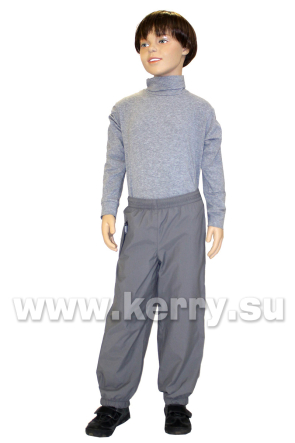 Брюки Керри для мальчиков BRAD K16032/390