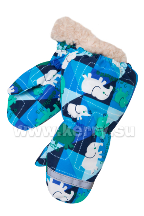 Рукавицы Керри для мальчиков EASY K16176/6311
