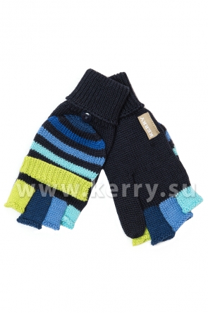 Перчатки Керри для мальчиков PAY K16447/5220