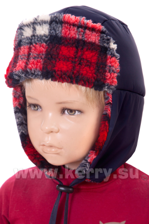 Шапка Керри для мальчиков ALDO K16681A/229