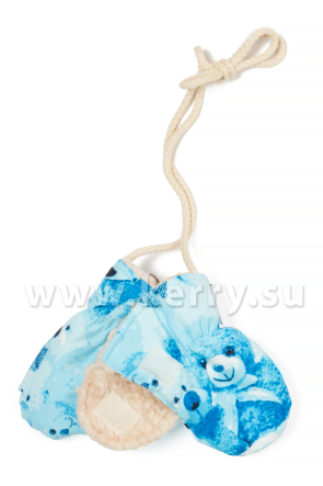Рукавицы Kerry для мальчиков  KAY K17171/4150