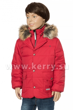 Kуртка Керри для мальчиков GENT K17439/622