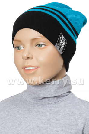 Шапка Kerry для мальчиков SAM K17494/637