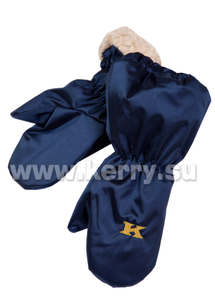 Рукавицы Керри для мальчиков и девочек LUX K17510L/229