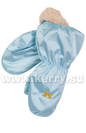 Рукавицы Керри для мальчиков и девочек LUX K17510L/400