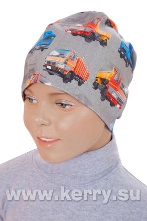 Шапка для мальчиков FAME K18978/048