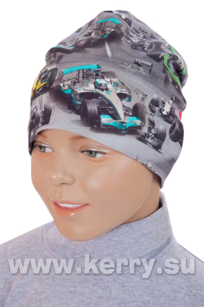 Шапка для мальчиков FAME K18978/053