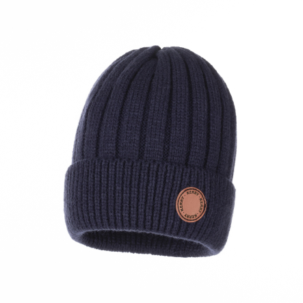 Шапка для мальчиков KERRY REMA K21489B/229