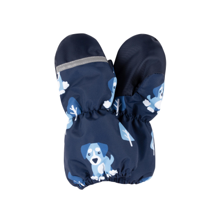 Рукавицы для мальчиков KERRY SNOW K22175/2290