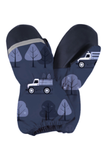 варежки для мальчика KERRY  SNOW K25175A/2240